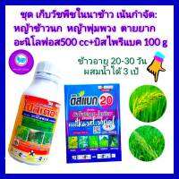 ชุด เก็บหญ้าในนาข้าว อายุ 20-30 วัน หญ้าดื้อยา วัชพืชตายยาก  อะนิโลฟอส 30% 500 + บิสไพรีแบค โซเดียม 20%ขนาด 100g  หญ้าข้าวนก หญ้าพุ่มพวง หญ้าลิเก