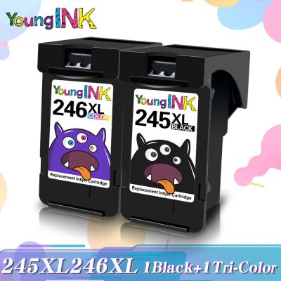 PRINTJOY For PG245 CL246 Ink Cartridges For Canon PG-245 246 For  MG2924 MX492 MG2520  TS302  TS3120 TS3122 Printer