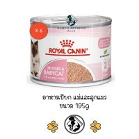 ** 6 กระป๋อง ** Royal Canin Mother &amp; Babycat อาหารเปียกกระป๋อง สำหรับแม่และลูกแมว ขนาด 195 กรัม