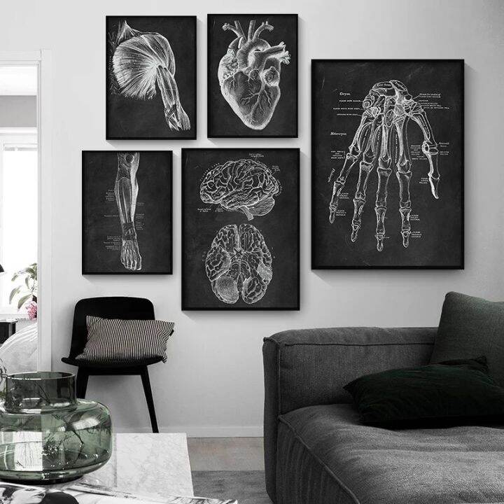 vintage-human-anatomy-artwork-พิมพ์ผ้าใบสำหรับ-medical-clinic-wall-skeleton-organ-และ-muscle-system-education-poster