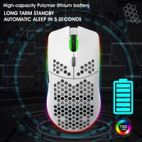 T66 Mouse 2.4G Wireless MOUSE Lightweight Design Cellular RGB Glow 6 Button Mouse Basic Mice