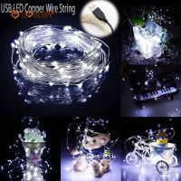 USB Led lights string 1M 5M 10M USB led light string fairy light for Christmas lights wedding party home decoration