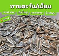 ทานตะวัน Aป้อม เกรดAไม่มีฝุ่น อาหารนกแก้ว (แบ่งขาย 1กก  500g.)