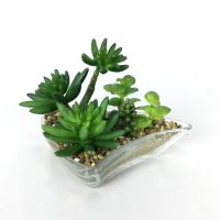 โปรโมชั่น+++ ต้นไม้ปลอมแต่งบ้าน สวนถาดแก้ว Eceveria succulent plant จัดสวนถาด สวยเหมือนจริง(1P00101-B-714-N) ราคาถูก อุปกรณ์แต่งสวน อุปกรณ์แต่งสวนถาด