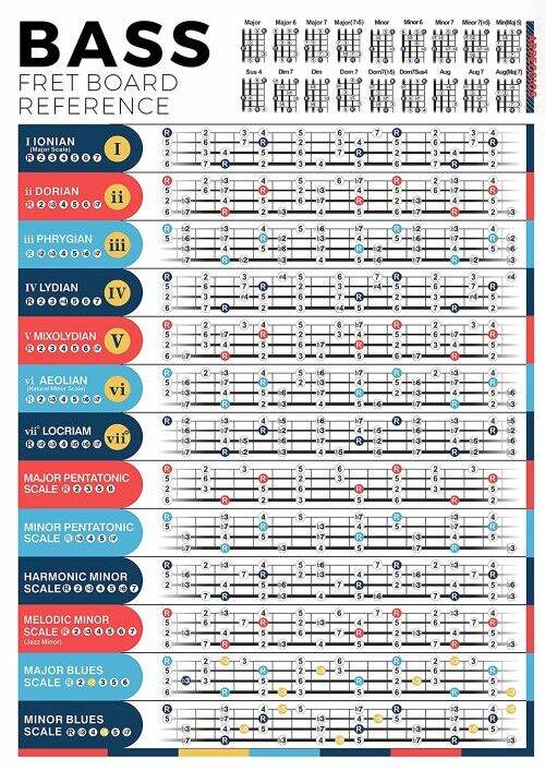 Bass Scales Chart for Beginner Adult or Kid Poster Music Theory Canvas