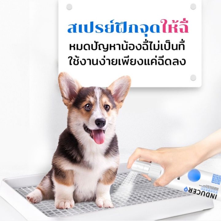 bhq-pet-สเปรย์ฝึกการขับถ่าย-ให้ฉี่-ห้ามฉี่-สำหรับสัตว์เลี้ยง-ฉีดตรงไหนได้ผลตรงนั้น-ปลอดภัยไร้สารตกค้าง-แมว-สุนัข-หมา-120-ml