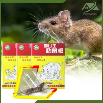 Big Clear!]Mouse Rat Traps,1.2m Mouse Trap Glue,Pest Traps Strong