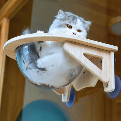 【select_sea】หลุมแมว หลุมอวกาศใส งานไม้มินิมอล ที่นอนนอนแมวติดผนัง พร้อมหลุมใสอะคริลิค รับน้ำหนักได้ 30 Kg