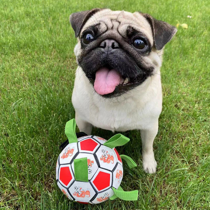ของเล่นสุนัขแบบโต้ตอบลูกฟุตบอลขนาดใหญ่พร้อมสายรัด-kado-ulang-tahun-สำหรับลูกสุนัขสุนัขขนาดเล็กและขนาดกลาง
