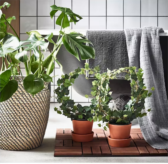 plant-pot-in-outdoor-dark-grey-beige