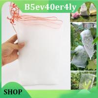 B5ev40er4ly Shop 10pcs Fruit Netting Grow Bags Garden Tools Protection Bug Insect for Grape Flower Veg