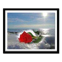 （Jinxiu cross-stitch） DIYSeaside Red Rose AS152