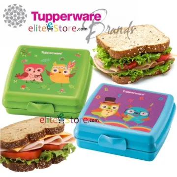Tupperware Sandwich Box - Best Price - 2023 | Lazada.sg