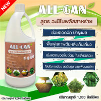 ปุ๋ยน้ำสาหร่ายอะมิโน 1000 ML. แตกยอดใหม่ ต้นโตไว เปิดตาดอก ติดผลดี ALL GAN อะมิโนพลัสสาหร่าย เพิ่มเซลล์สร้างรากใหม่