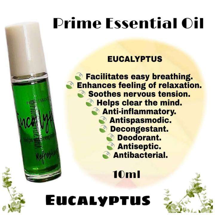 Eucalyptus Oil Aromatherapy 10ml PRIME ESSENTIAL | Lazada PH