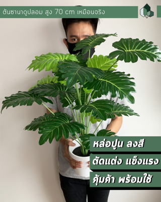 ต้นไม้ปลอม ต้นซานาดูปลอม หนา 18 ใบ สูง 70 CM หนา 18 ใบ กระถางพลาสติกสีขาว 6 นิ้ว ฐานปูนสีดำ พร้อมส่ง