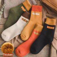 {Sock Shop} CuteByte ฤดูหนาวผู้หญิง,ถุงเท้าผ้าเทอร์รี่กลางท่อบวกกำมะหยี่หนาพื้นให้ความอุ่นผ้าฝ้ายเทรนด์ความยาวปานกลาง