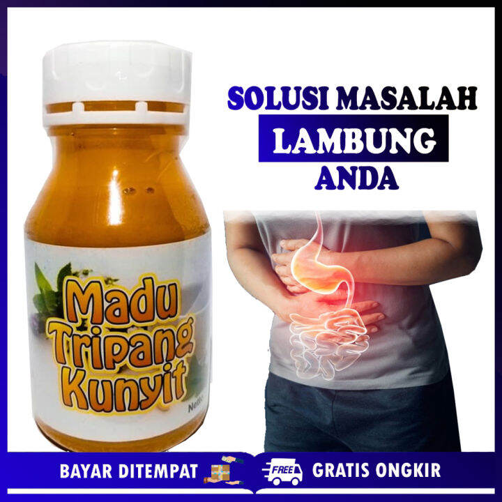 Obat Asam Lambung Madu Tripang Kunyit, Tukak Lambung, Luka Lambung ...