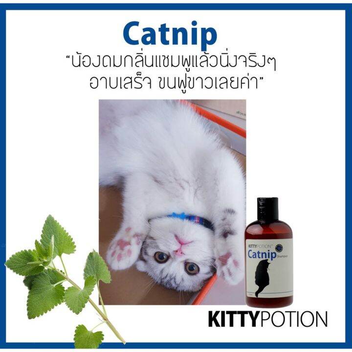 organic-pavilion-kitty-potion-catnip-shampoo-แชมพูอาบน้ำแมว-แชมพูสัตว์เลี้ยงออร์แกนิค-250ml