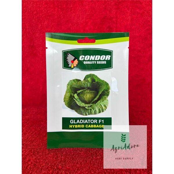 GLADIATOR F1 Hybrid Cabbage Seeds Pack (CONDOR) | Lazada PH
