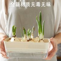 [COD] Hydroponic flowerpot plastic creative narcissus potted simple personality succulent plant copper money grass