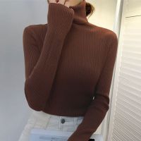 WEIRDO Autumn Winter Knitted Jumper Tops turtleneck Pullovers Casual Sweaters Women Shirt Long Sleeve Tight Sweater Girls