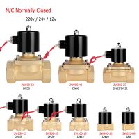 Electric Solenoid Valve 1/4 3/8 1/2 3/4 1 DN8/10/15/20/25/50 Normally Closed Pneumatic for Water Oil Air 12V 24V 220V