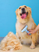 Gifts Pet Dog Combing Hair Golden Brush To Remove Fur Supplies Daquan