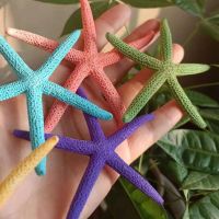 （READYSTOCK ）? Natural Finger Starfish Creative Home Decorations Five Finger Starfish Shell Conch Wedding Props Fish Tank Landscape Handmade YY