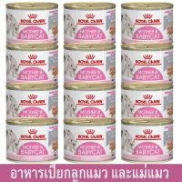 โปรโมชั่นโหด ส่งฟรี อาหารแมว Royal Canin Babycat Mousse Kitten&amp;Cat Food 195g (12 cans)อาหารลูกแมว แม่แมวให้นม รอยัลคานิน195กรัม (12 กระป๋อง)