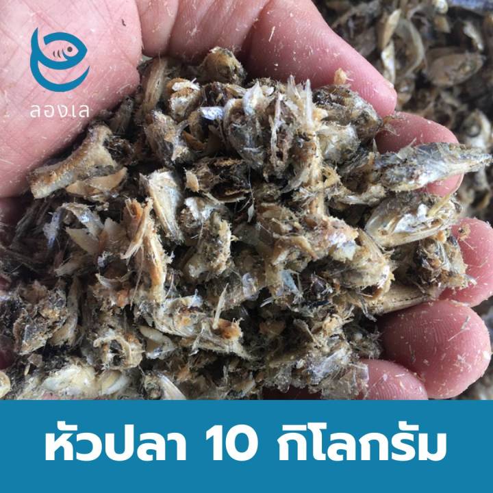 ปลาป่นโปรตีน-30-fish-meal-เศษปลาจากปลากะตักตากแห้งโปรตีนสูง-สำหรับเลี้ยงสัตว์-เพื่อเพิ่มโปรตีนและแร่ธาตุ