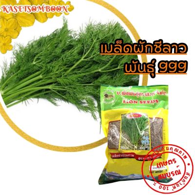 ผักชีลาว 999 เมล็ดพันธุ์ 500 ก. ตราสิงห์โต