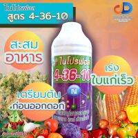 ปุ๋ยน้ำ 4-36-10 ขนาด1ลิตร สูตรเตรียมต้นก่อนออกดอก สะสมอาหาร ใบแก่ เขียวเข้มเร็ว