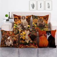 [COD] Pumpkin Happy Pillowcase Cross-border Platform Manufacturer Supply 1577