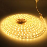 Waterproof LED Strip Light AC 220V 5050 60Leds/m Flexible Tape Lamp Indoor Outdoor Warm Cool White Red Blue Green Pink Home Rope