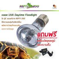 อย่าลืมกดรับของแถม หลอดUVA Daytime FloodLight Repti Zoo หลอดไฟให้ความร้อน ให้ความอบอุ่นสัตว์เลี้ยง ประกันร้าน 15 วัน บริการเก็บเงินปลายทาง สำหรับคุณ