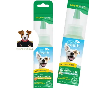 TropiClean Enticers Teeth Cleaning Gel & KONG Dental Ball for Small Dogs, 1  oz - Pet Supplies Delivered