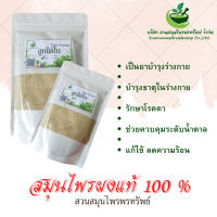 ลูกใต้ใบผง ขนาด 100 กรัม ทำให้สายตาดี (Phuchifa_Organic)