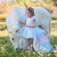 Cute Girls Unicorn 2pcs Dress Set Baby Girls Princess Brithday Christmas Party Dress Children Kids Clothing for 2 4 6 8 10 years  by Hs2023