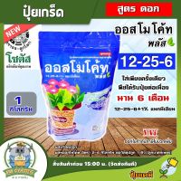 KU ?? ปุ๋ย ออสโมโค้ท พลัส สูตร 12-25-6 ขนาด 1 กิโลกรัม โซตัส ใส่ครั้งเดียว พืชได้รับปุ๋ยต่อเนื่องนาน 6 เดือน ปลอดภัยต่อระบบรากพืช บอนสี