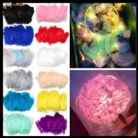 HUWBDH 50pcs ตกแต่งเครื่องประดับ เครื่องประดับงานแต่งงาน สีธรรมชาติ ขนห่าน ขนนกหลากสี ตกแต่งเครื่องแต่งกาย ของตกแต่งบ้าน