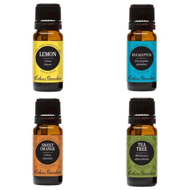EDENS GARDEN Essential Oil Lazada PH