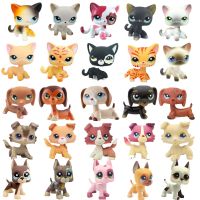 [AhQ ornaments] Rare Littlest Pet Shop Lps Toys Dog Collection Cute Littlest Sausage Old Original Animal Figure Kids Christmas Gifts