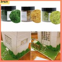 BRAIN ขนาดเล็ก ต้นไม้หญ้ากอ DIY ภูมิทัศน์สนาม ตะไคร่ขนาดเล็ก แบบจำลองหญ้า ไม้พุ่มจำลอง ตกแต่งอาคารทหาร