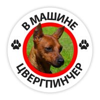 B0210# Self-Adhesive Decal Miniature Pinscher Car Sticker Waterproof Auto Decors on Bumper Rear Window Bumper Stickers Decals  Magnets