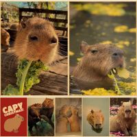 Sumanssa น่ารัก Kawaii Capybara โปสเตอร์สำหรับคนรักสัตว์ Modern Wall Art พิมพ์สำหรับห้องนั่งเล่นตกแต่งบ้าน