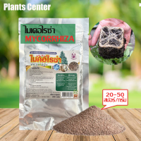 Plants Center พร้อมส่ง? ไมคอไรซ่า 200g/1kg ไมคอร์ไรซ่า ไมคอไรซา Mycorrhiza ?มั่นใจ100% สินค้าล็อตใหม่ล่าสุ ต้นแข็งแรง