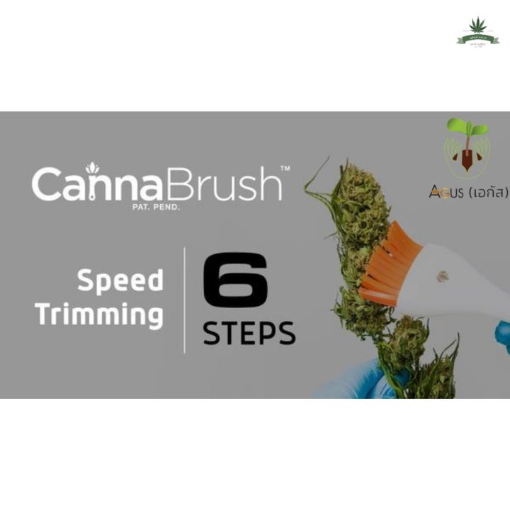 สินค้าพร้อมจัดส่ง-canna-brush-แปรง-ทริม-ดอก-กัญ-ของ-แท้-100-นำเข้าจาก-usa-ทริมดอก-ทริมใบ-กรรไกร-hemp-สินค้าใหม่-จัดส่งฟร