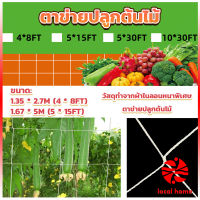 Local home ตาข่ายปลูกต้นไม้ ตาข่ายปลูกพืช ตาข่ายพืชสมุนไพร Plant net