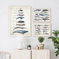 Whales Size Comparison Chart Print Whale Watercolor Painting Child Educational Poster Nursery Wall Art Pictures Kids Room Decor